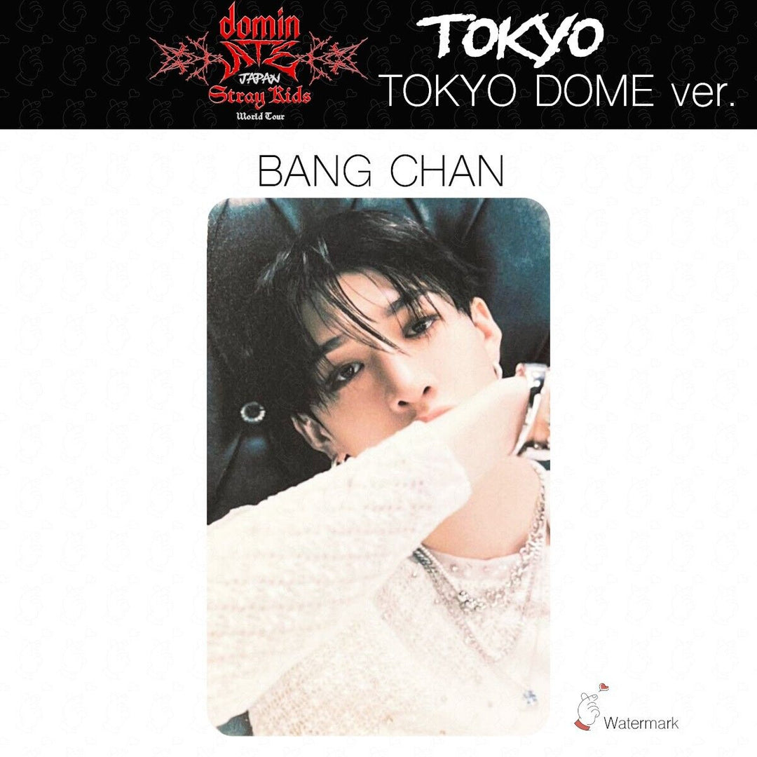 Stray Kids Tour dominATE JAPAN TOKYO OSAKA Date limited photocard GIANT