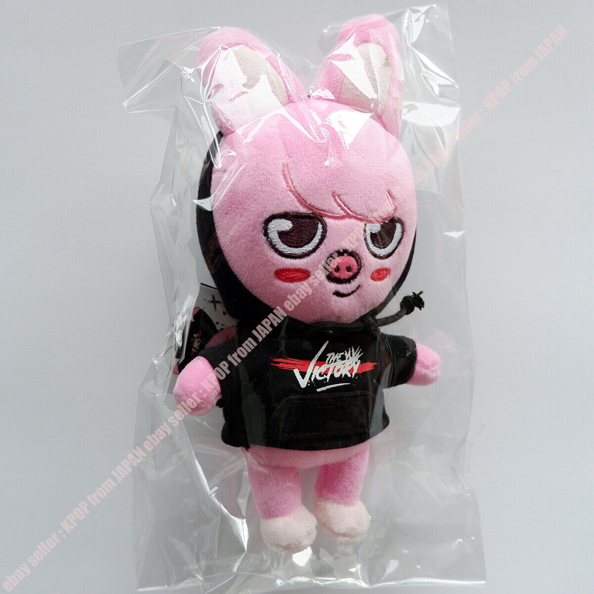 Official Stray Kids x SKZOO sold The Victory Original Plush Ver Dwaekki