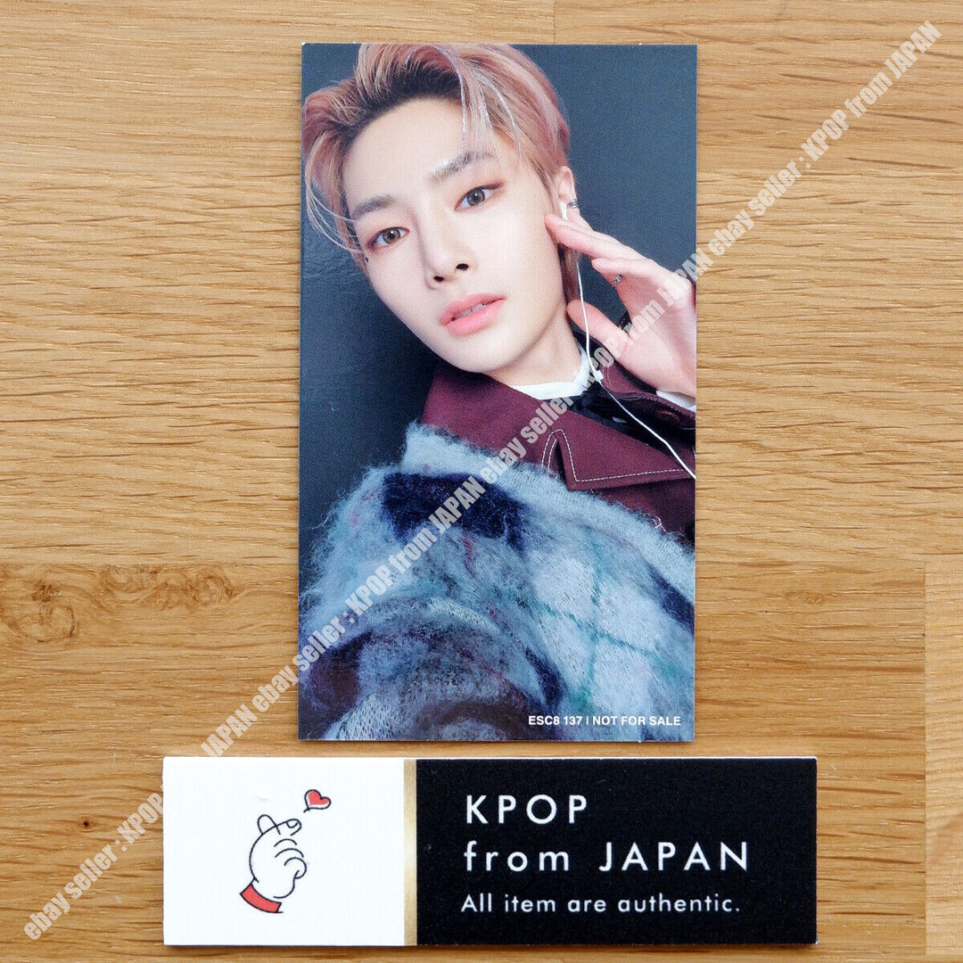 IN Stray Kids THE SOUND Tarjeta fotográfica oficial JAPAN POB FC Fanclub Tarjeta fotográfica PC 