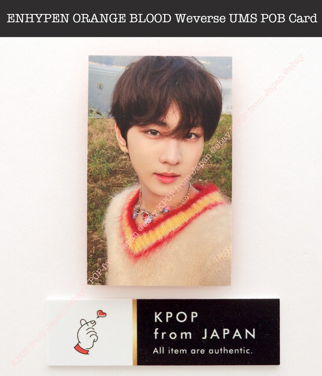 ENHYPEN ORANGE BLOOD Weverse UMS Japón POB Sorteo de la suerte Tarjeta fotográfica oficial 