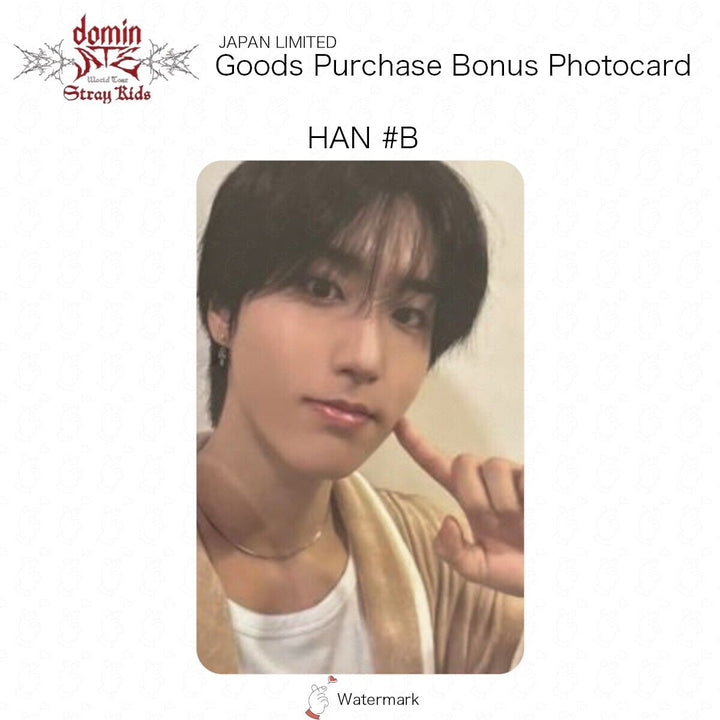 Stray Kids GOOD PURCHASE BONUS OFFICIAL PHOTOCARD JAPAN LIMITED BENEFIT