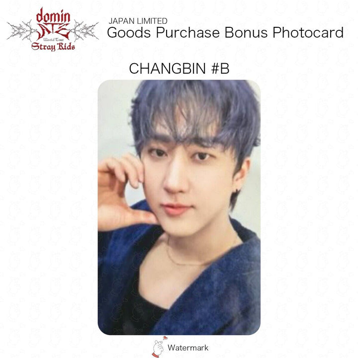 Stray Kids GOOD PURCHASE BONUS OFFICIAL PHOTOCARD JAPAN LIMITED BENEFIT