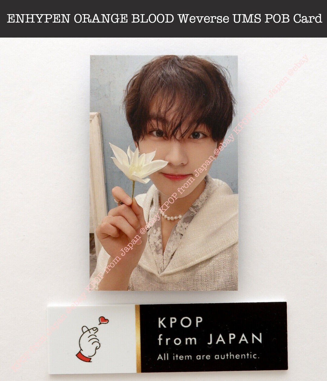 ENHYPEN ORANGE BLOOD Weverse UMS Japón POB Sorteo de la suerte Tarjeta fotográfica oficial 