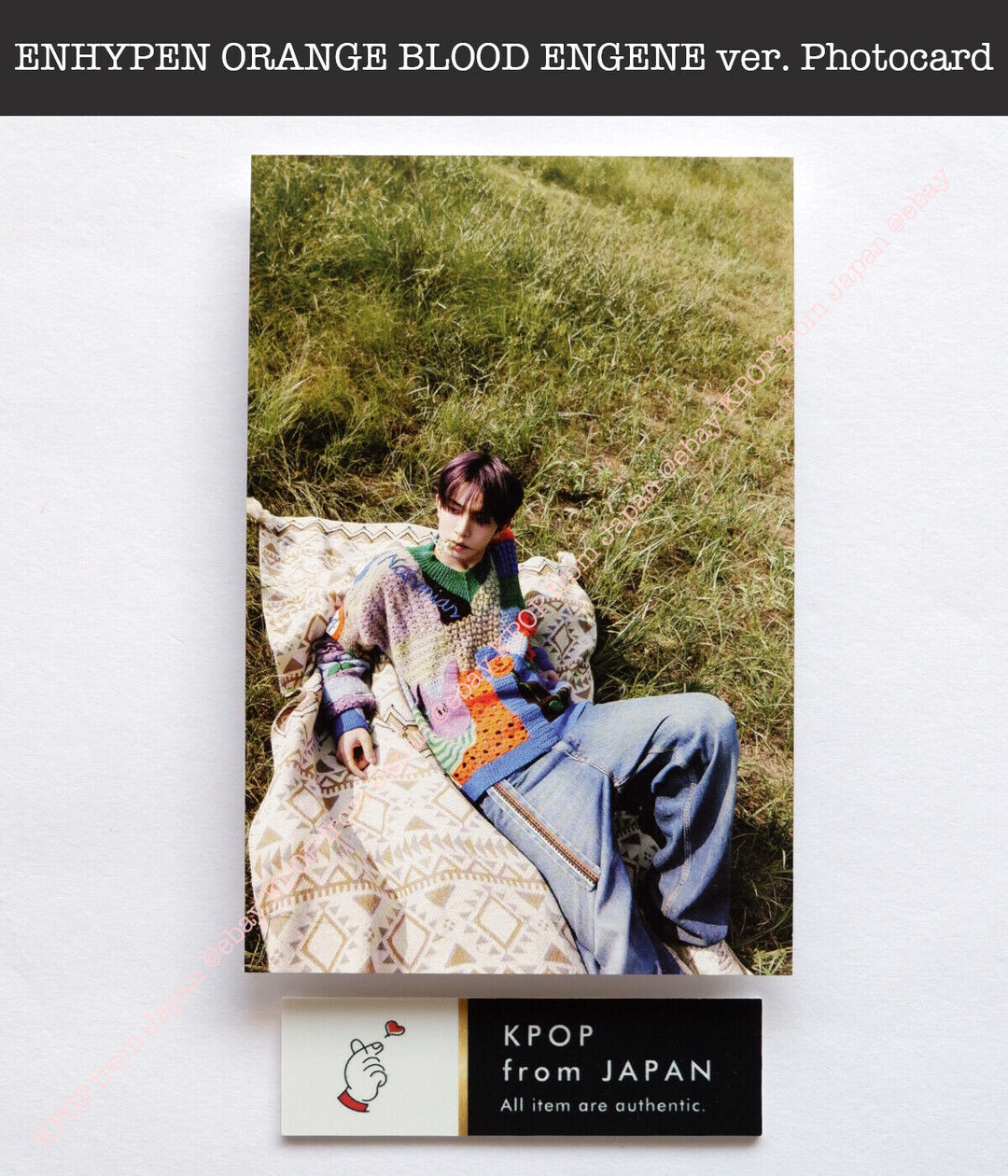 ENHYPEN ORANGE BLOOD ENGENE ver. Official Photocard Postcard