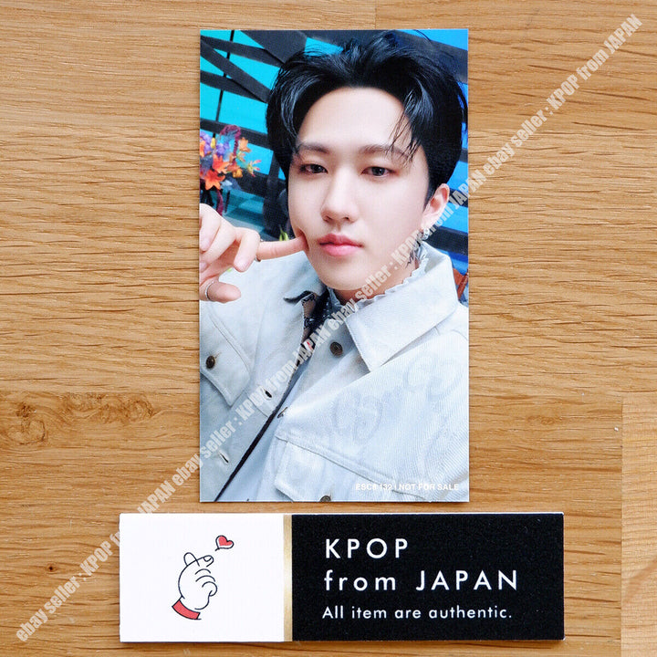 Changbin Stray Kids THE SOUND Tarjeta fotográfica oficial JAPAN POB FC Fanclub Tarjeta fotográfica 