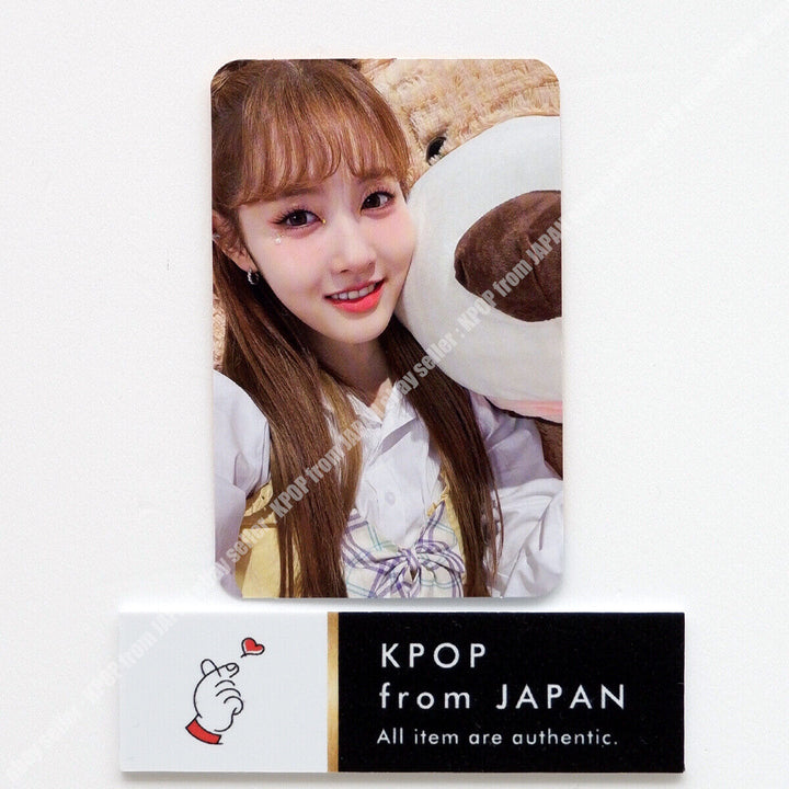 STAYC Teddy Bear Japanese Ver Official Photocard SUMIN SIEUN ISA SEEUN YOON J