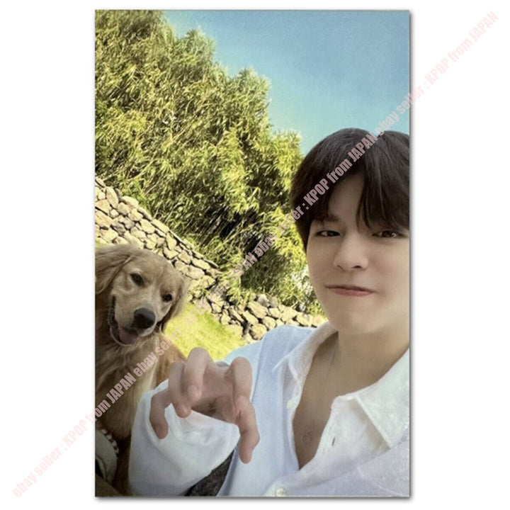 Seungmin Stray Kids se queda en STAY in JEJU Tarjeta fotográfica oficial POB TIENDA SKZOO JYP 