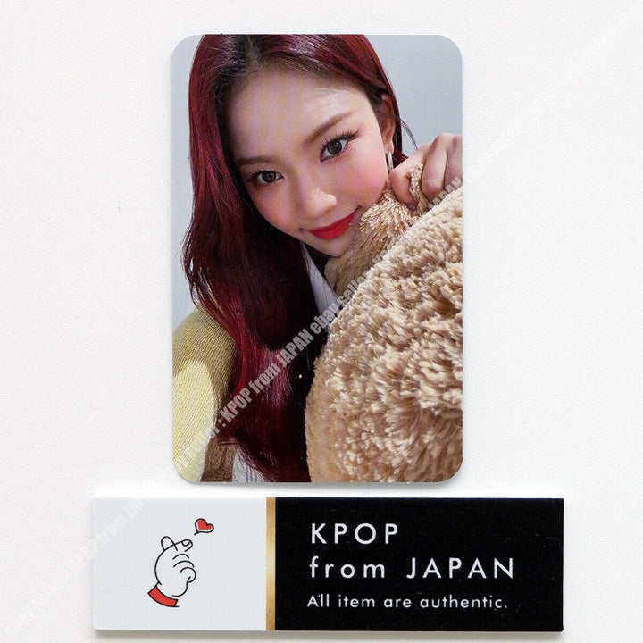 STAYC Teddy Bear Japanese Ver Official Photocard SUMIN SIEUN ISA SEEUN YOON J