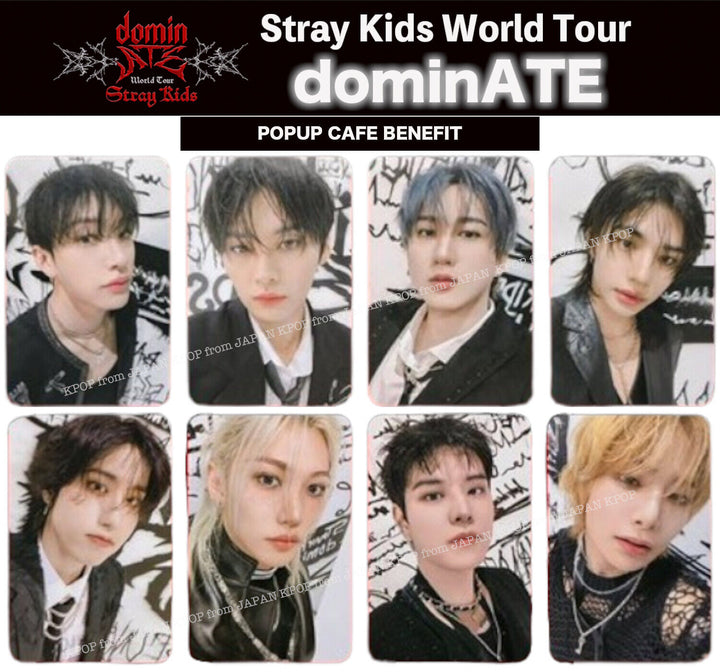 STRAY KIDS WORLD TOUR DOMINATE ATE SEOUL STAY ZONE PHOTOCARD SKZ SKZOO UNIT CAFE