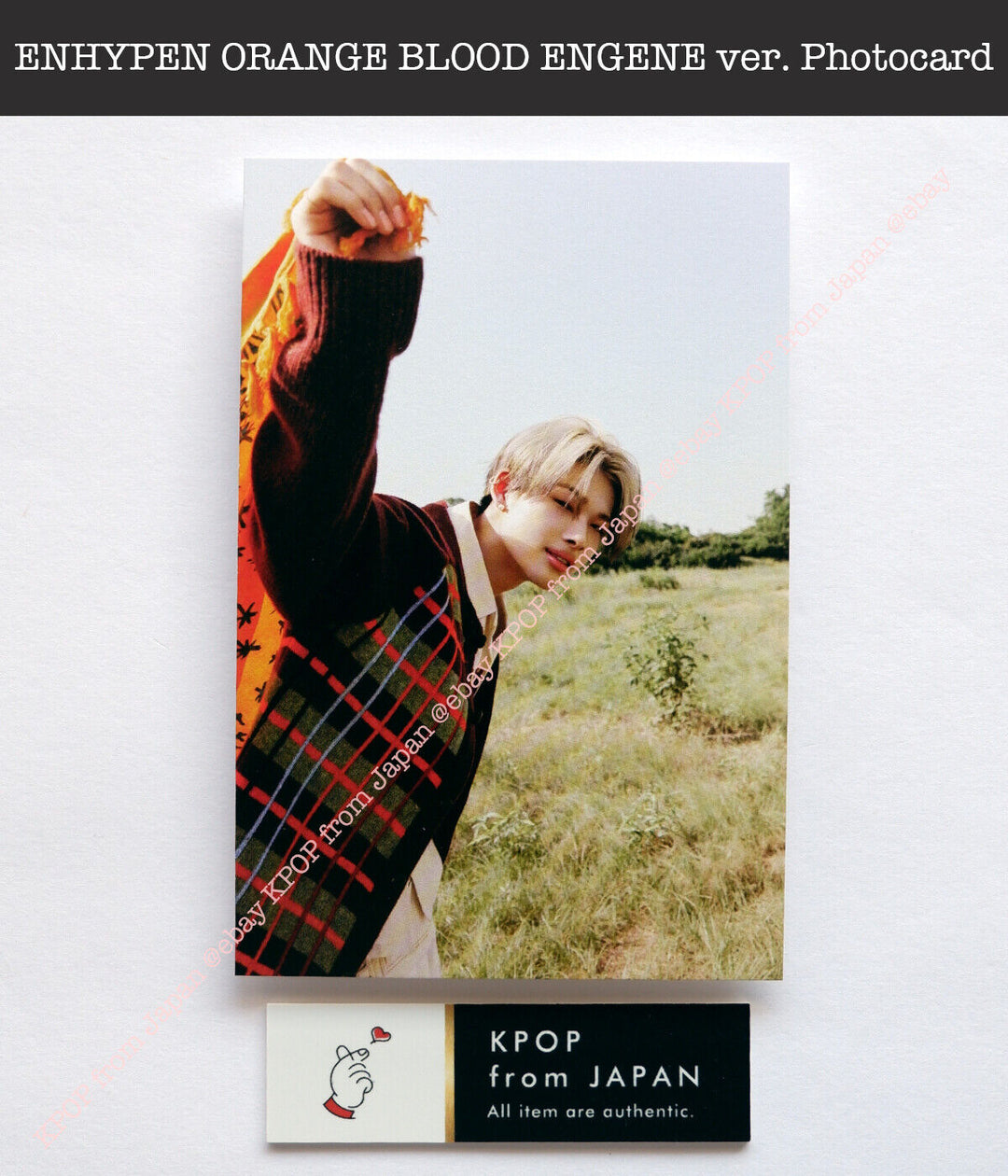 ENHYPEN ORANGE BLOOD ENGENE ver. Official Photocard Postcard