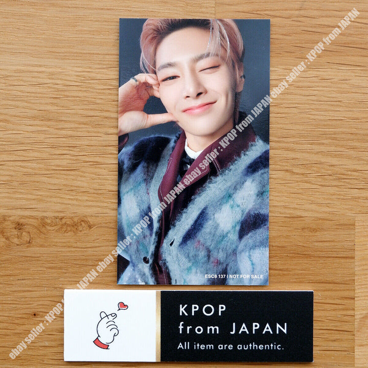 I.N Stray Kids THE SOUND Official Photocard JAPAN POB FC Fanclub Photo card PC