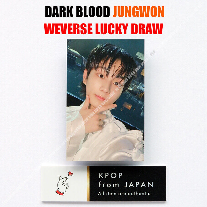 ENHYPEN DARK BLOOD Weverse UMS Japan limited Lucky draw Official Photocard POB