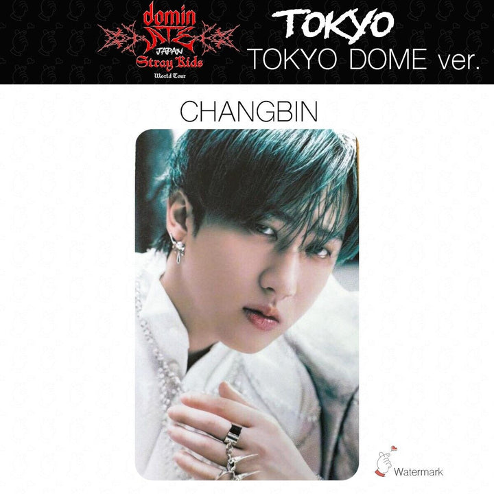 Stray Kids Tour dominATE JAPAN TOKYO OSAKA Date limited photocard GIANT