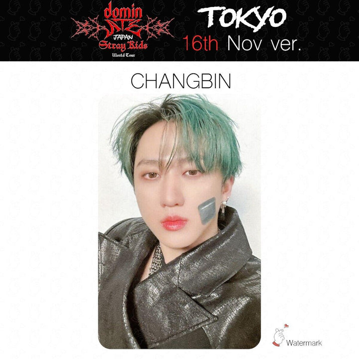 Stray Kids Tour dominATE JAPAN TOKYO OSAKA Date limited photocard GIANT