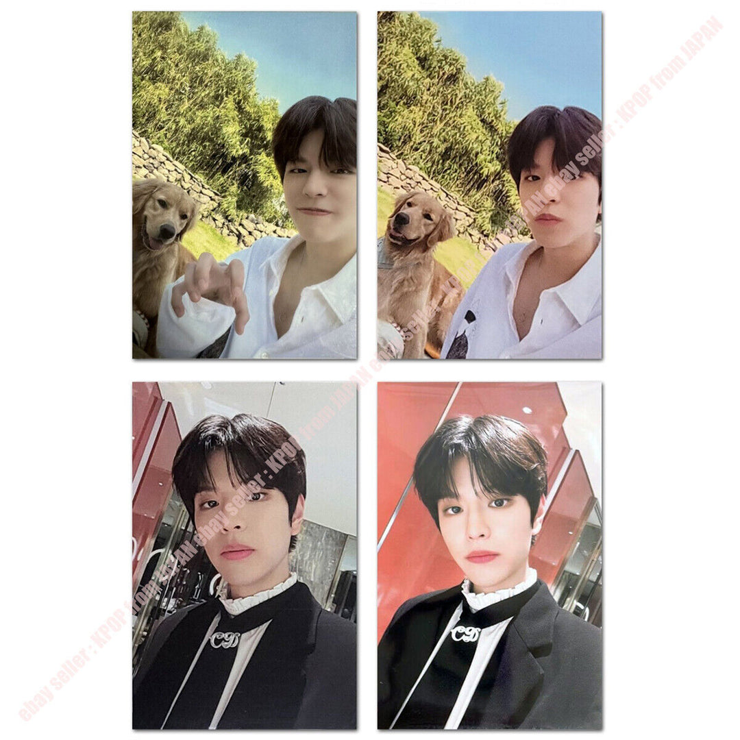 Seungmin Stray kids Stay in STAY in JEJU Official POB Photocard SKZOO STORE JYP