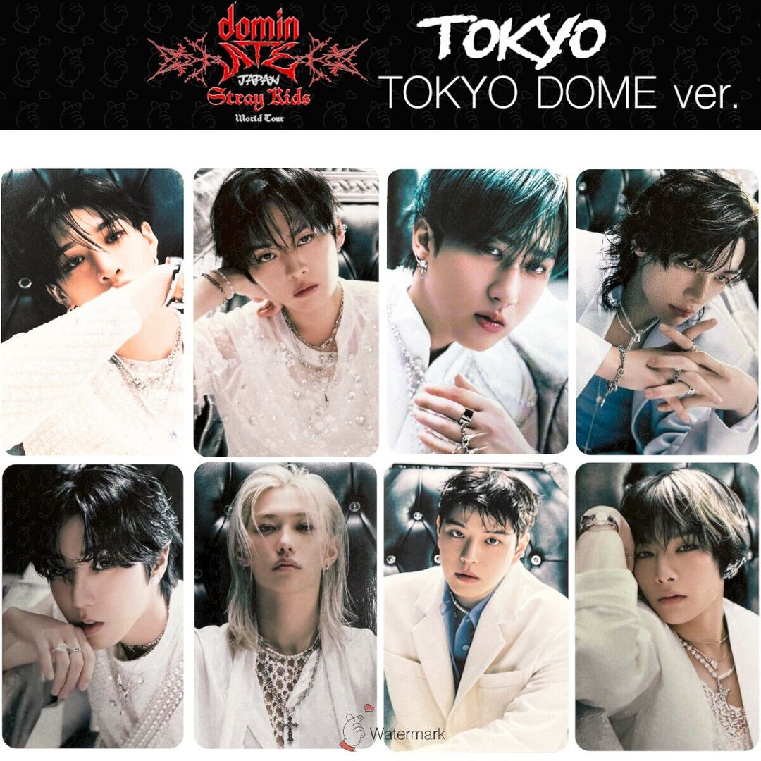 Stray Kids Tour dominATE JAPAN TOKYO OSAKA Date limited photocard GIANT