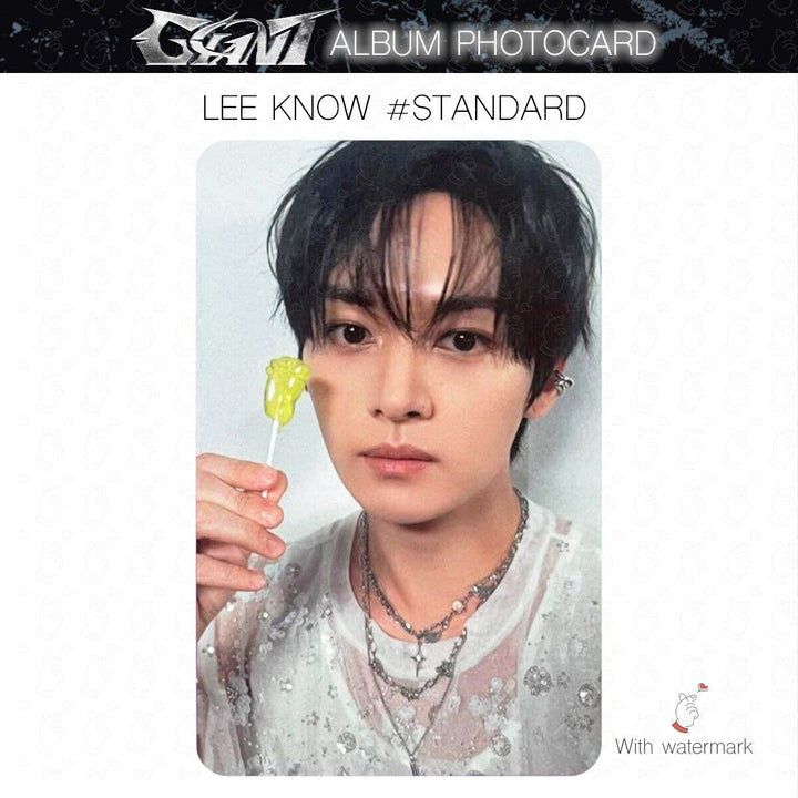 LEE KNOW STRAY KIDS GIANT JAPAN ALBUM PHOTOCARD POB LUCKY DRAW SOLO SONY