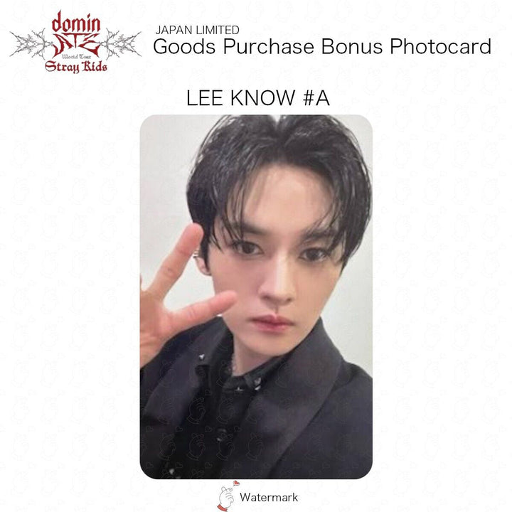 Stray Kids GOOD PURCHASE BONUS OFFICIAL PHOTOCARD JAPAN LIMITED BENEFIT