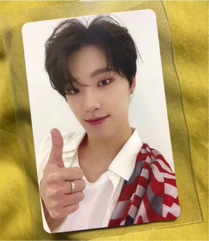 DIECISIETE OFICIAL FALLIN' FLOWER CARAT ver. FAN CLUB Photocard Tarjeta fotográfica 