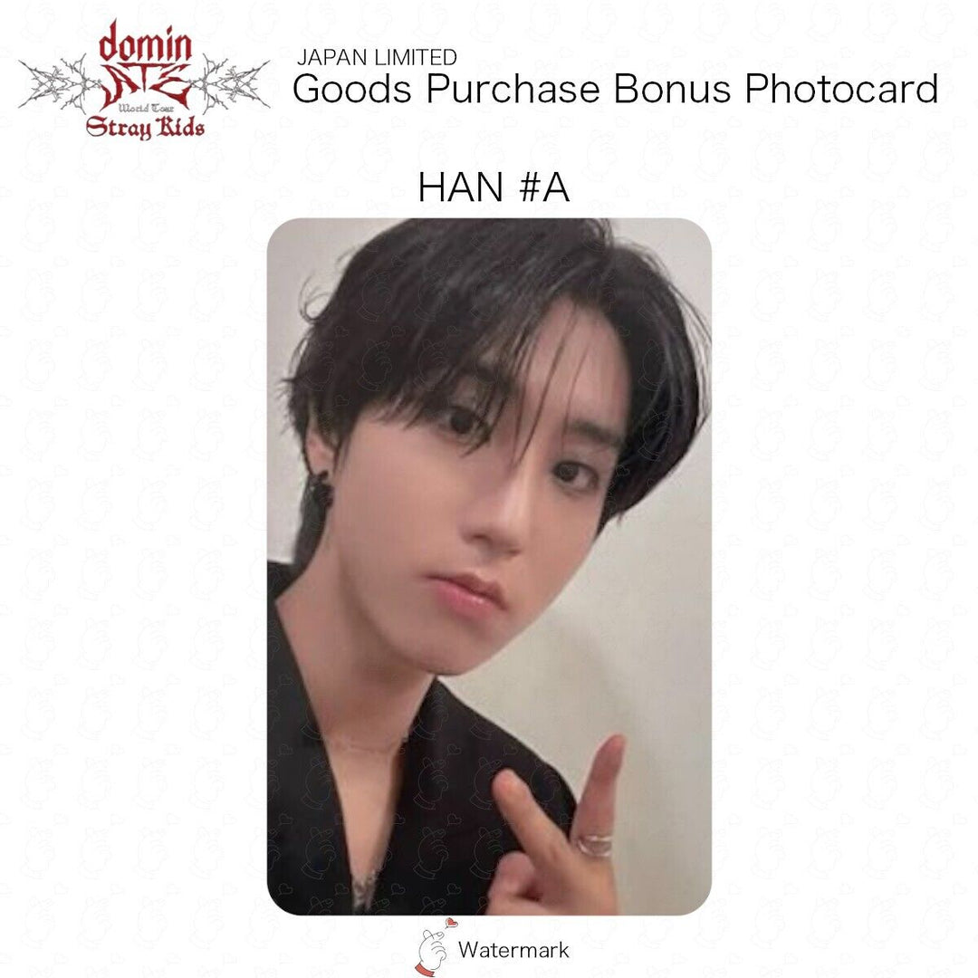 Stray Kids GOOD PURCHASE BONUS OFFICIAL PHOTOCARD JAPAN LIMITED BENEFIT