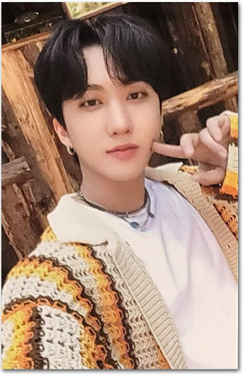 Changbin Stray kids Stay in STAY in JEJU Official POB Photocard SKZOO STORE JYP