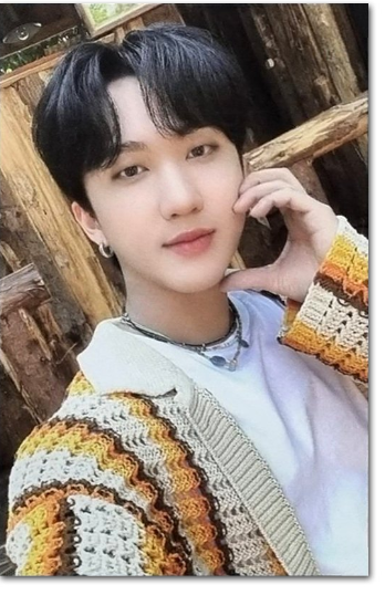 Changbin Stray kids Stay in STAY in JEJU Official POB Photocard SKZOO STORE JYP