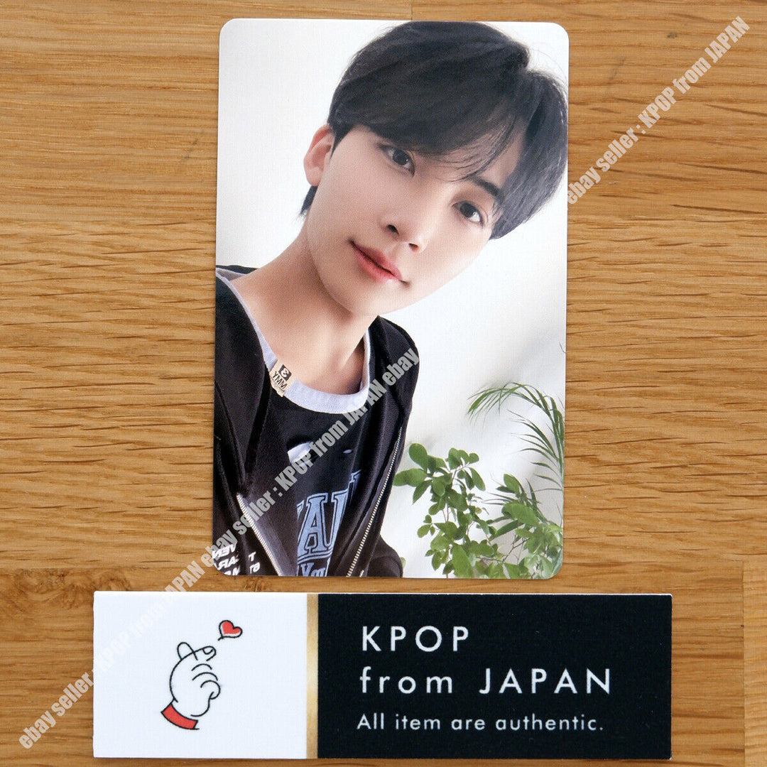 DIECISIETE en CARAT LAND MEMORY BOOK Tarjeta fotográfica oficial 2022 SVT FAN MEETING PC 