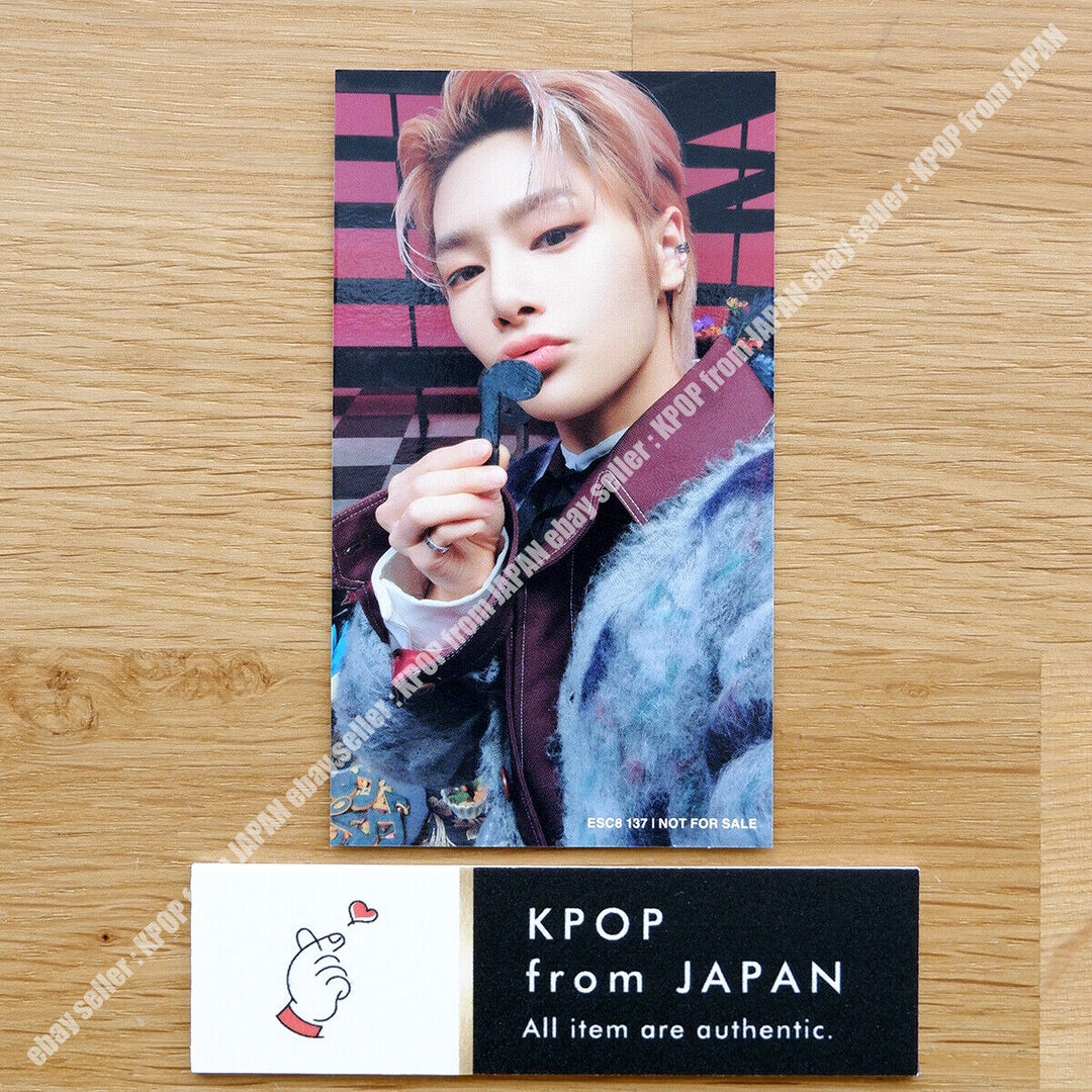 IN Stray Kids THE SOUND Tarjeta fotográfica oficial JAPAN POB FC Fanclub Tarjeta fotográfica PC 