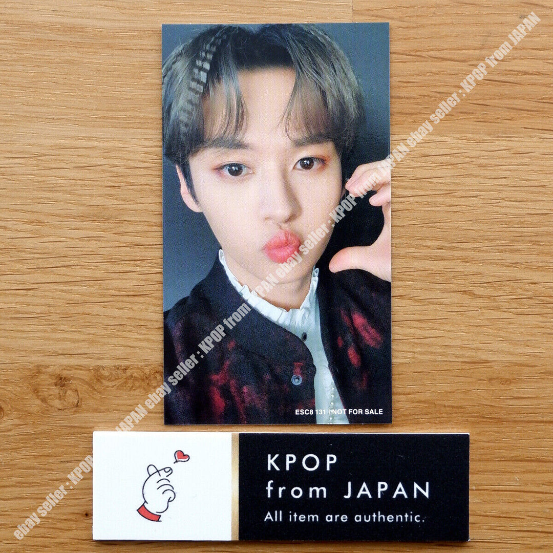 Lee Know Stray Kids THE SOUND Tarjeta fotográfica oficial JAPAN POB FC Fanclub Tarjeta fotográfica 