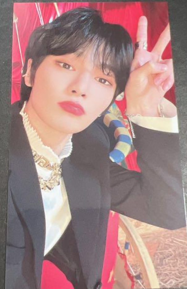 Stray Kids CIRCUS FC STAY JAPAN Tarjeta fotográfica oficial de doble impresión pc 