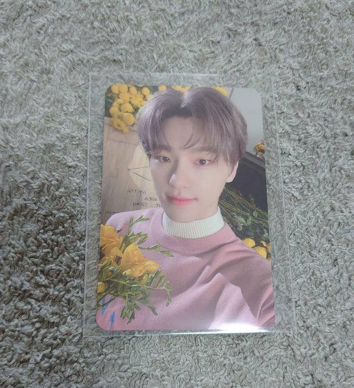 Seventeen Dino Your Choice Official Photo card One side Other side Beside PC