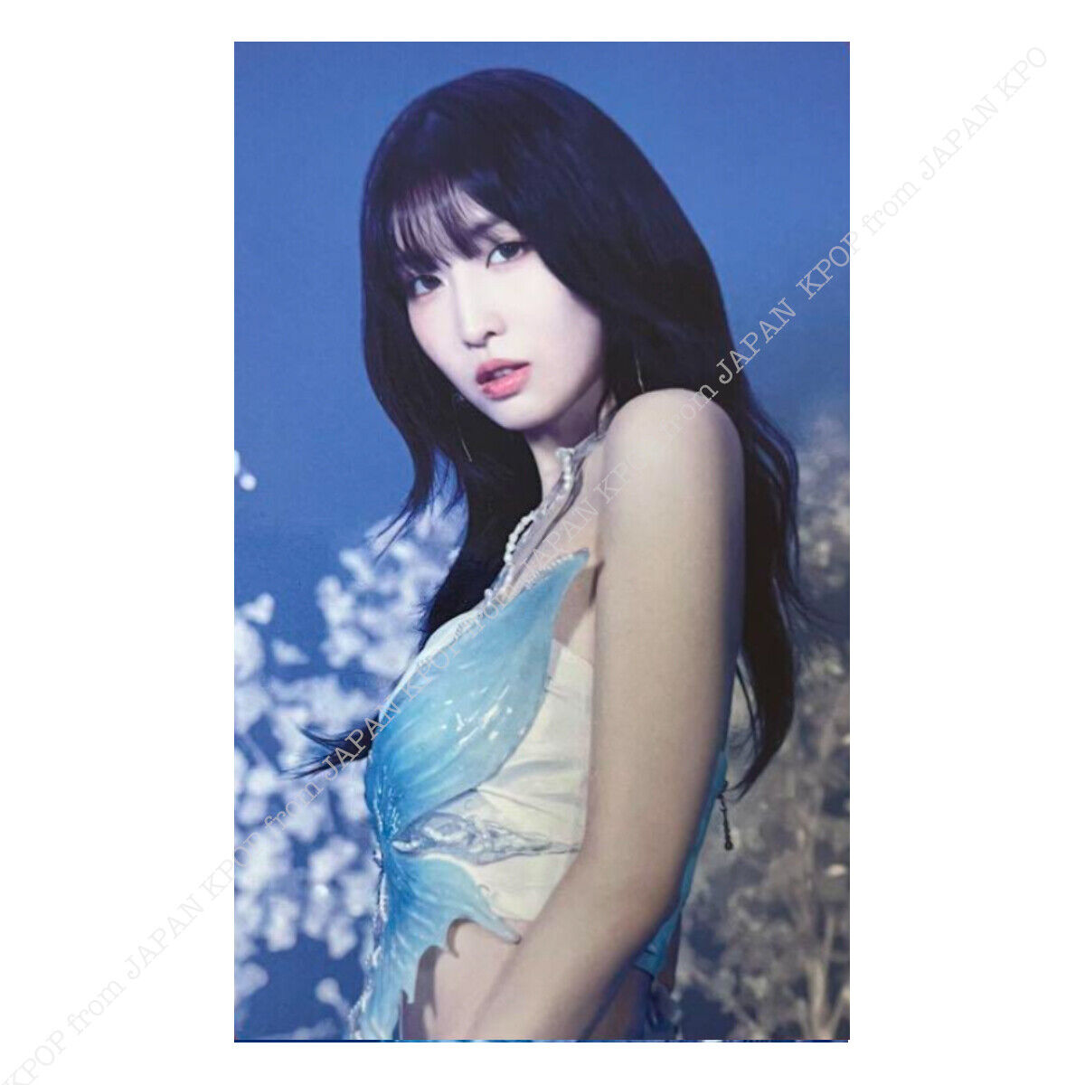 Outlet Twice Momo Pop Up Store LA Photocard