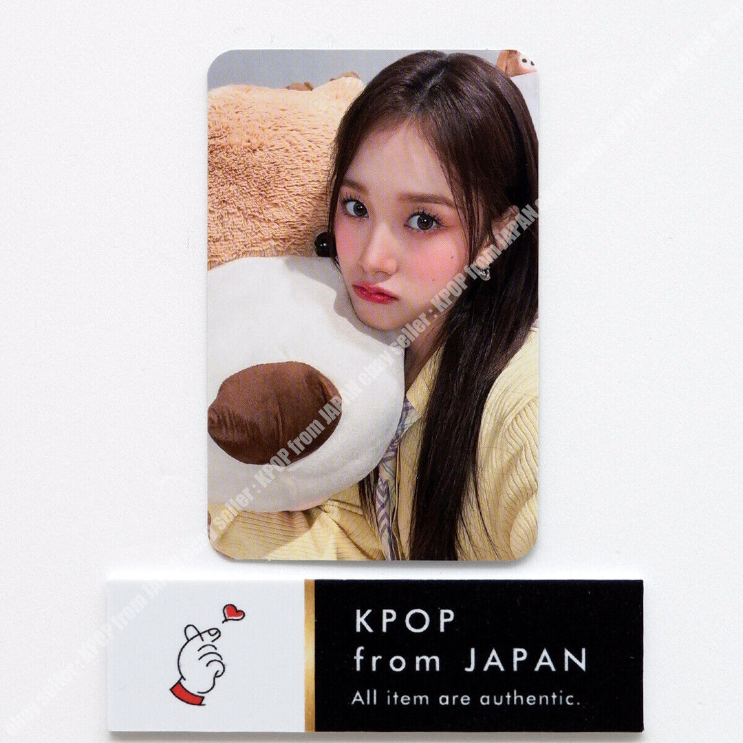 STAYC Teddy Bear Versión japonesa Tarjeta fotográfica oficial SUMIN SIEUN ISA SEEUN YOON J 