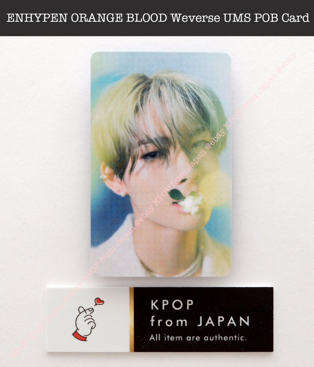 ENHYPEN ORANGE BLOOD  Weverse UMS Japan POB Lucky draw Official Photocard