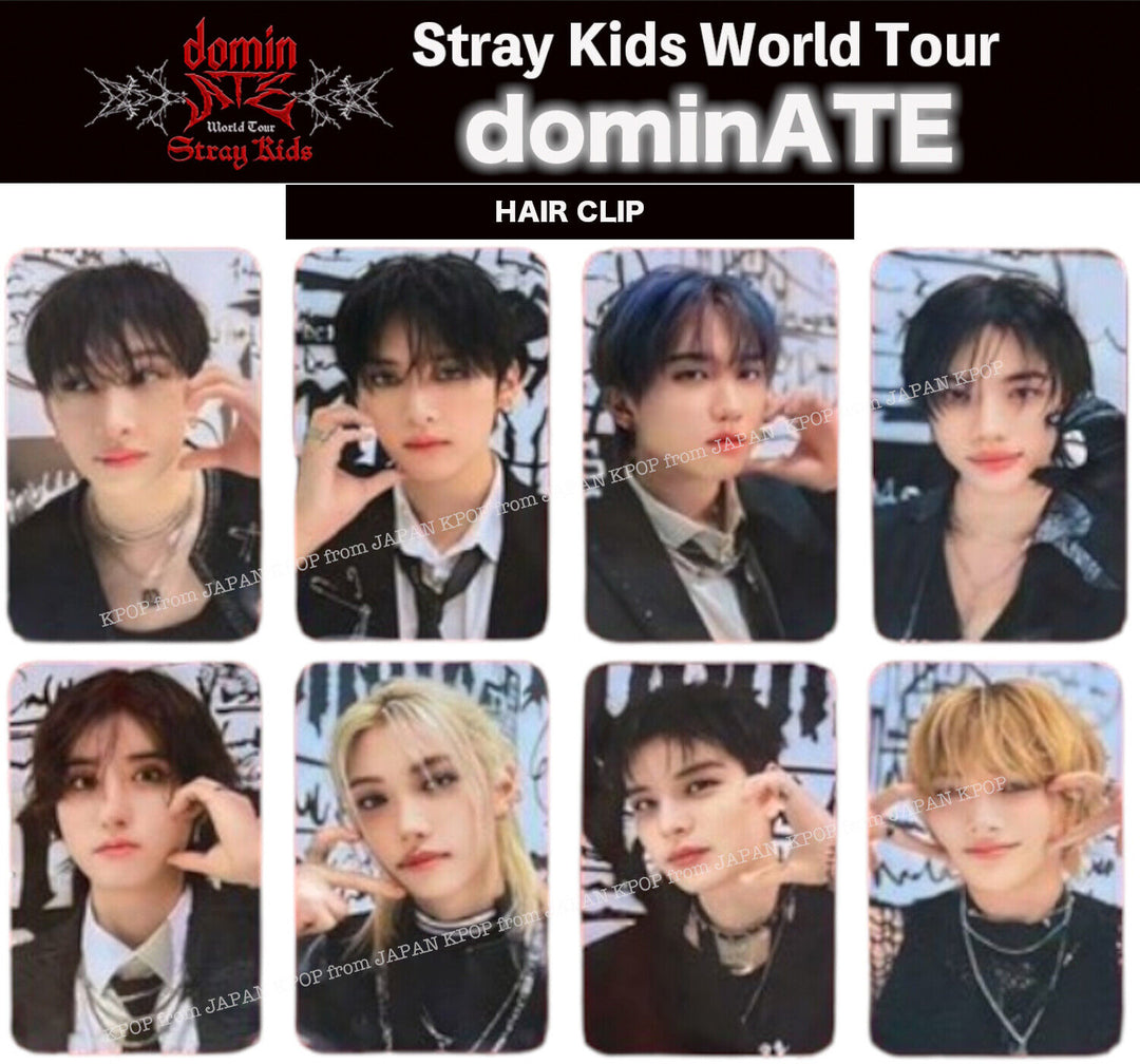 STRAY KIDS WORLD TOUR DOMINATE ATE SEOUL STAY ZONE PHOTOCARD SKZ SKZOO UNIT CAFE