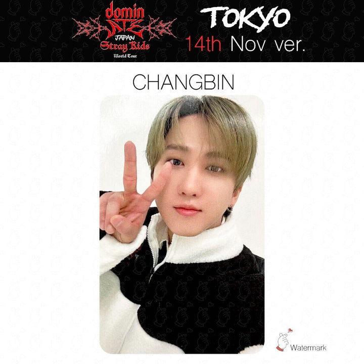 Stray Kids Tour dominATE JAPAN TOKYO OSAKA Date limited photocard GIANT