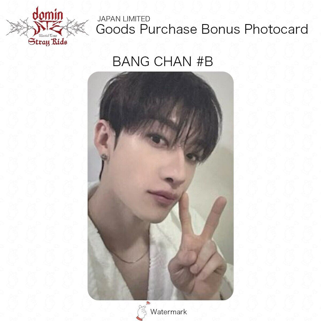 Stray Kids GOOD PURCHASE BONUS OFFICIAL PHOTOCARD JAPAN LIMITED BENEFIT