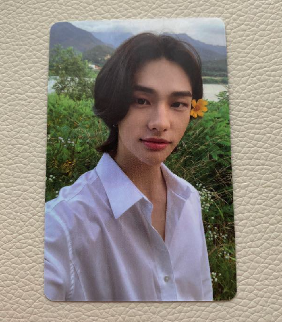 Stray kids Hyunjin NOEASY NOISY Official Photo card PC photocard