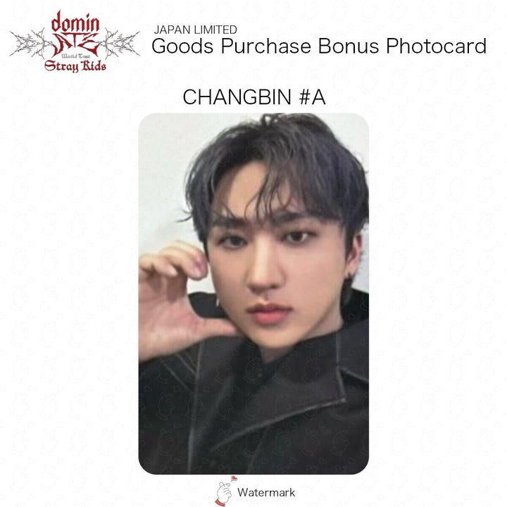 Stray Kids GOOD PURCHASE BONUS OFFICIAL PHOTOCARD JAPAN LIMITED BENEFIT