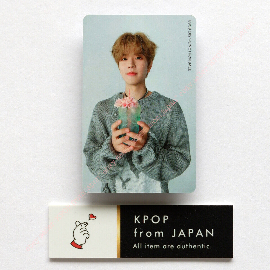 Seungmin Stray Kids Social Pass Official Photo Card JAPAN POB FC Photo Card Fan