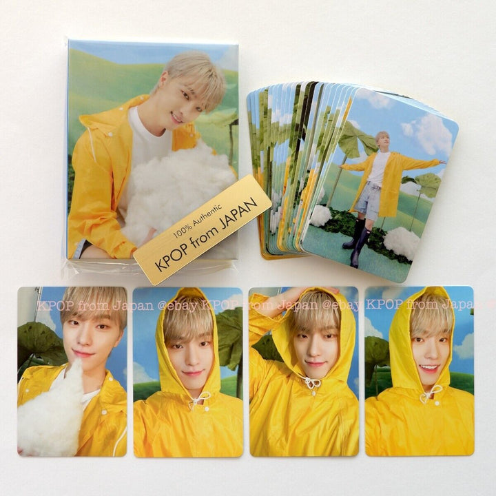 DINO SEVENTEEN SEVENTEENTH HEAVEN CARAT ver. Complete Photocard Set + Binder