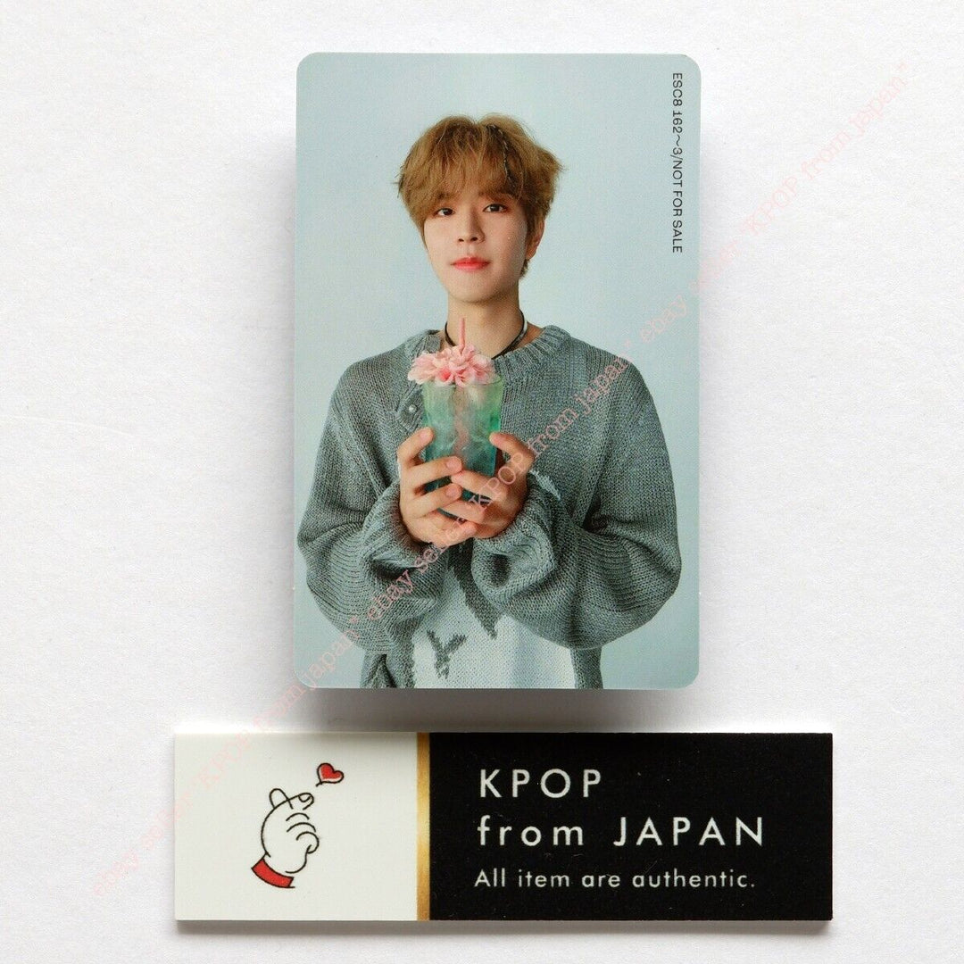 Seungmin Stray Kids Social Path Solo juego completo CD+DVD+2 piezas+3 tarjetas 