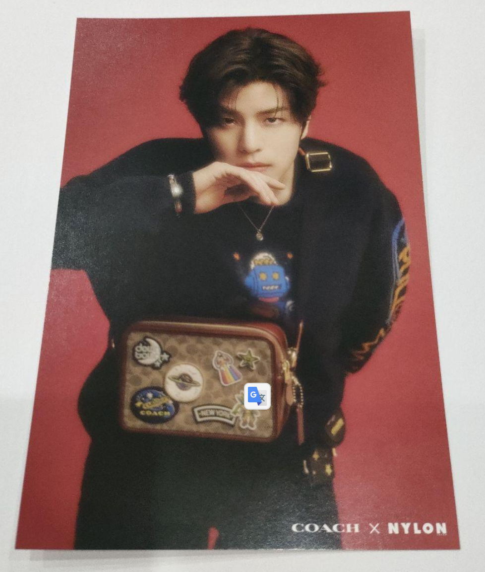 COACH × NYLON JAPAN Seungmin Official Postcard from StrayKids Post card