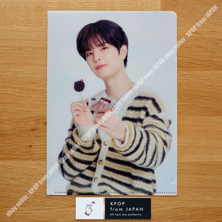 Stray Kids Family mart clear file 8pcs set Felix Lee Know Hyunjin Han Bang Chan